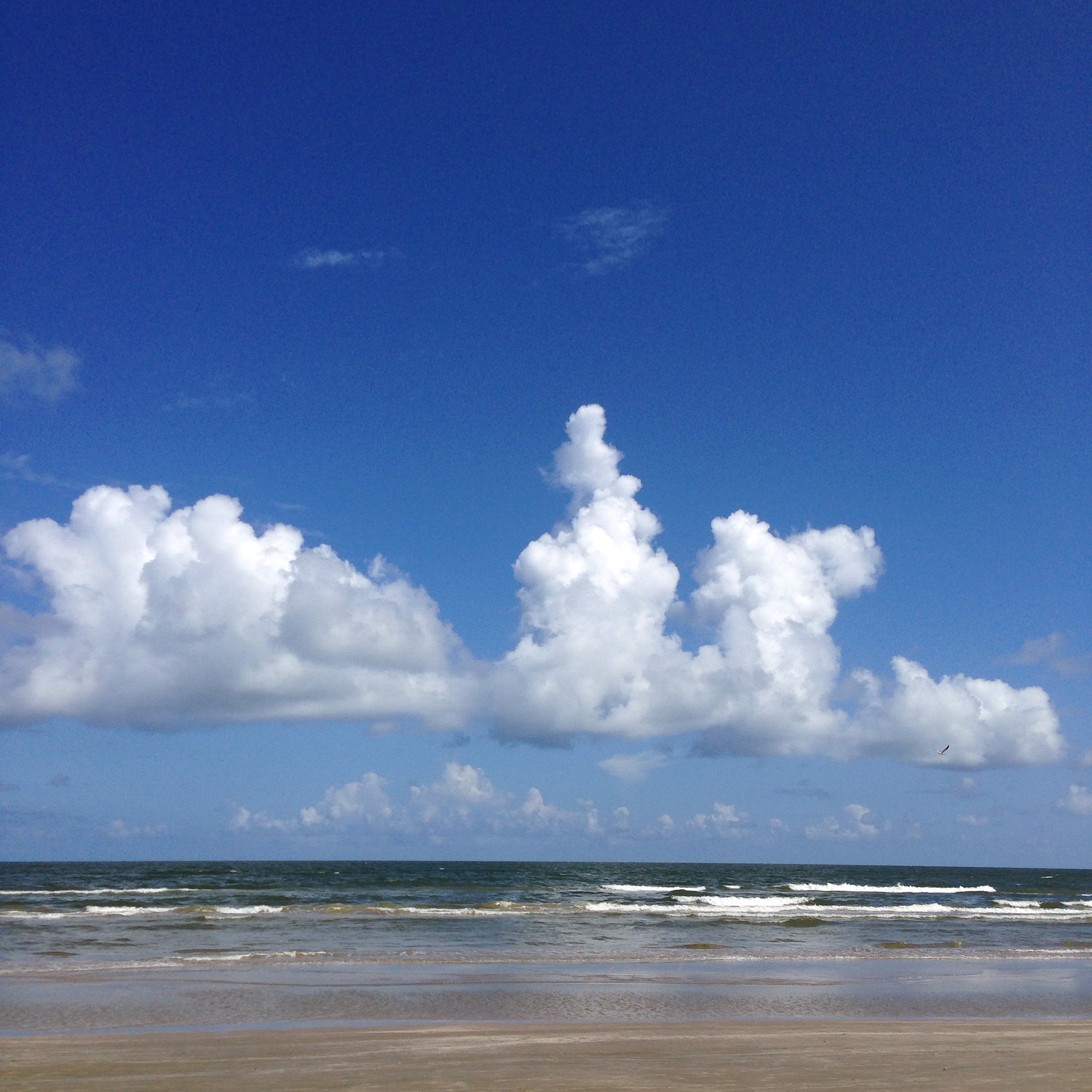 In a Rut? Do This One Thing For a Mid Year Restart - Alexander Training ...