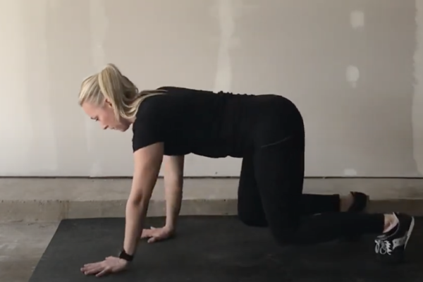 How to do bear crawls demonstrated by Kathryn Alexander of Alexander Training