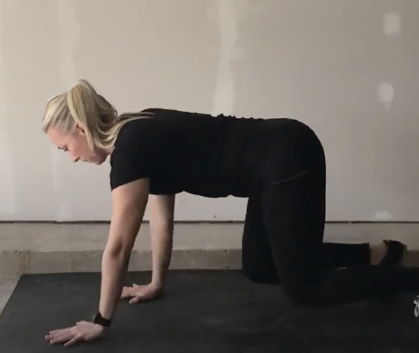 How to do bear crawls demonstrated by Kathryn Alexander of Alexander Training