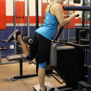 legs and glutes; hamstrings curls for exercise library
