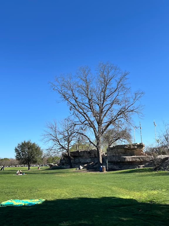 Zilker Park in Austin in April. Gorgeous weather!